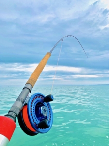 Spring Downrigging on Lake Ontario for Chinook Salmon ...